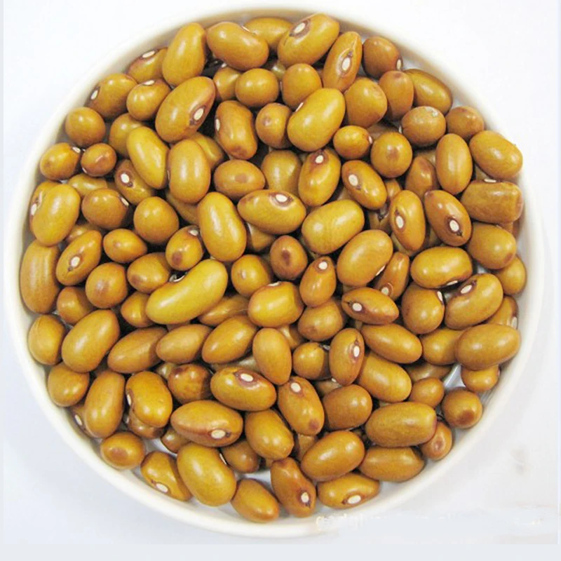Dried yellow kidney beans