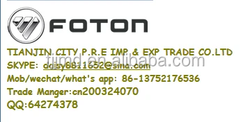 FOTON Auman/Aumark truck scale model