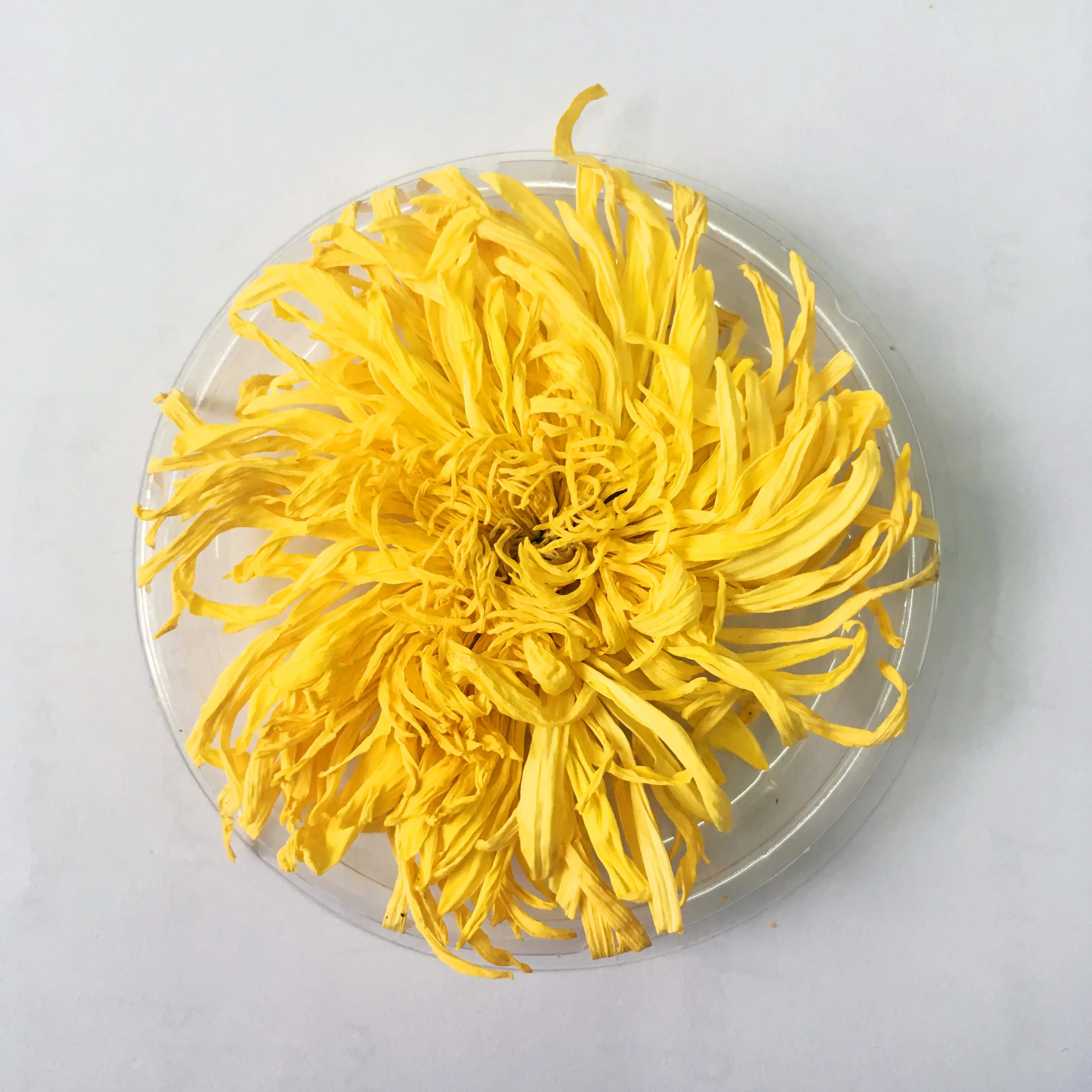 Flower Tea Golden Chrysanthemum Flower Powder Chrysanthemum tea flavors premium natural tea