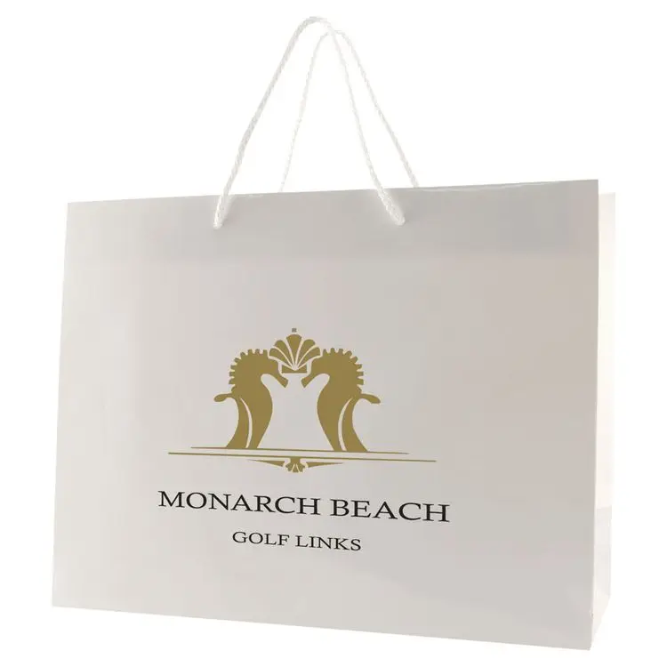 
Factory Price Printed Custom Glossy Laminated Shopping Paper Bags with handle and your logo 