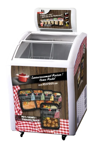 Мини-Камеру Глубокой Заморозки с Реклама Лампы Поле Nestle Морозильник Мороженого Морозильник