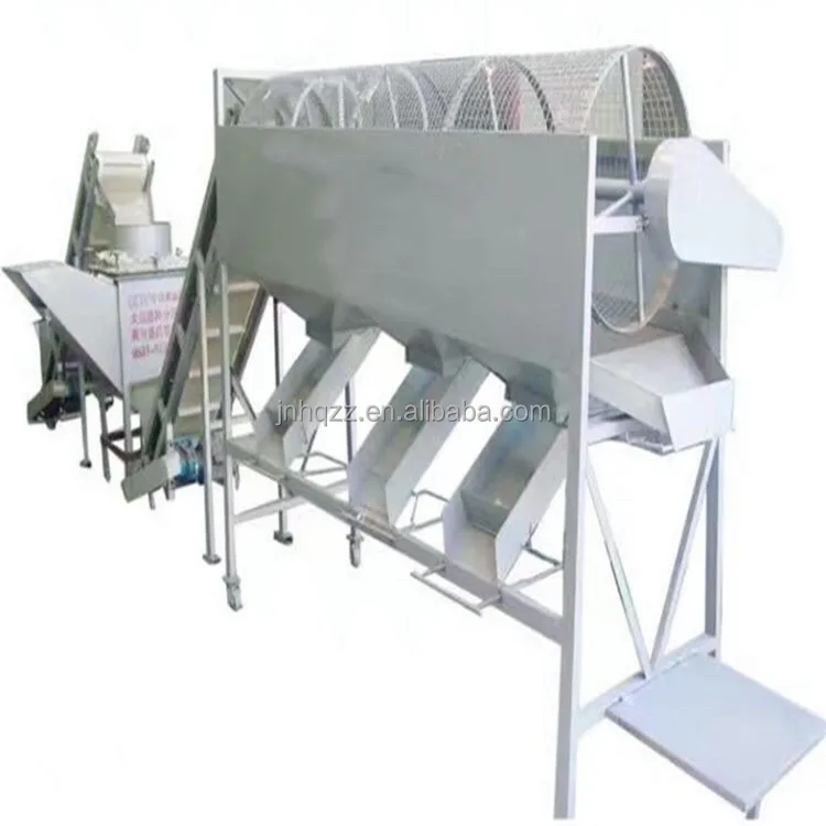 Rolling automatic garlic size sorter machine