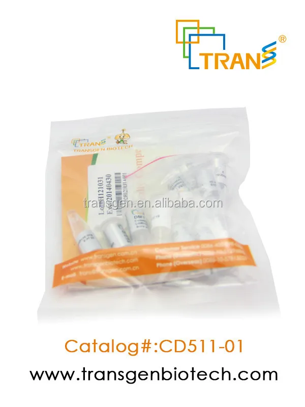 
DMT Chemically Competent Cell 