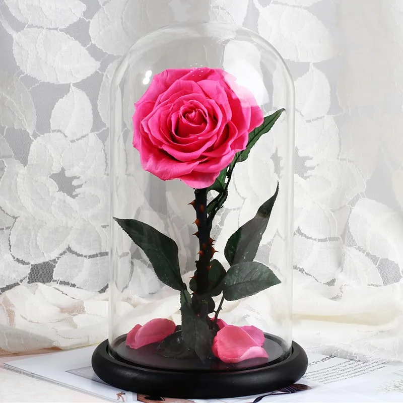 
2021 hot selling preserved long stem roses in glass dome for Valentines gift 