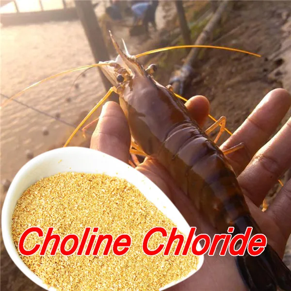 Best quality feed choline chloride supplement 60% per cob