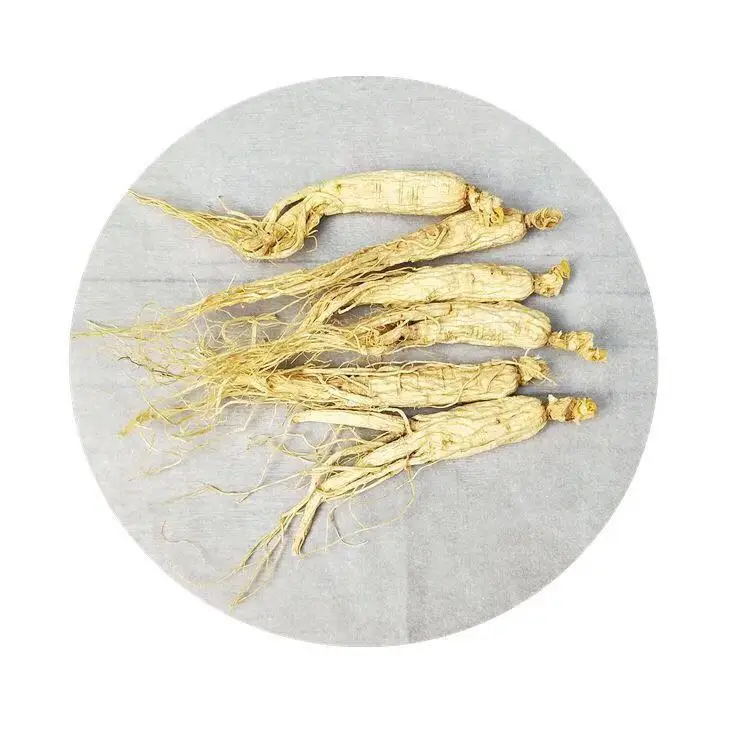 
Free Sample Changbaishan Ginseng Distributors Organic Panax Ginseng 