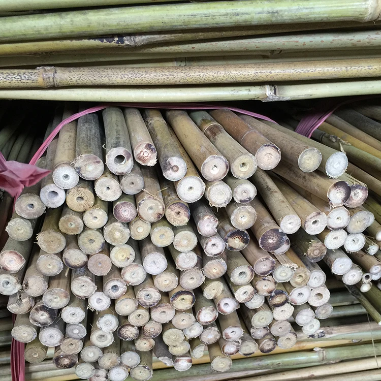 Wholesale China High Quality  Raw  Bamboo Pole Cane Agriculture For Flag