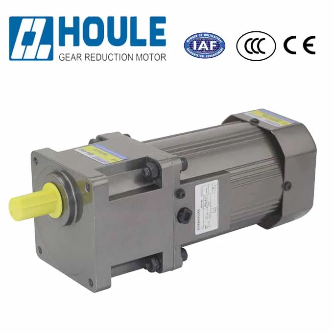 HOULE AC/DC 6W~400W Hot Sale AC Synchronous Gear Motor Micro Reduction Motor Gear Reducer