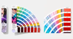 Cartoon Star Shaped Acrylic Fish Panda Duck Dinosaur Etc Small Cut Animal Keychain Pendant Pet doll Keychain Free Sample