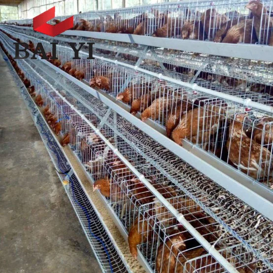 Wholesale Cheap Industrial Chicken Hen House For Sale( A & H type layer chicken cage,good quality)