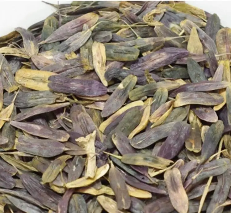 Натуральные Сушеные Семена Isatis indogotica Fort для сельского хозяйства, 1 кг