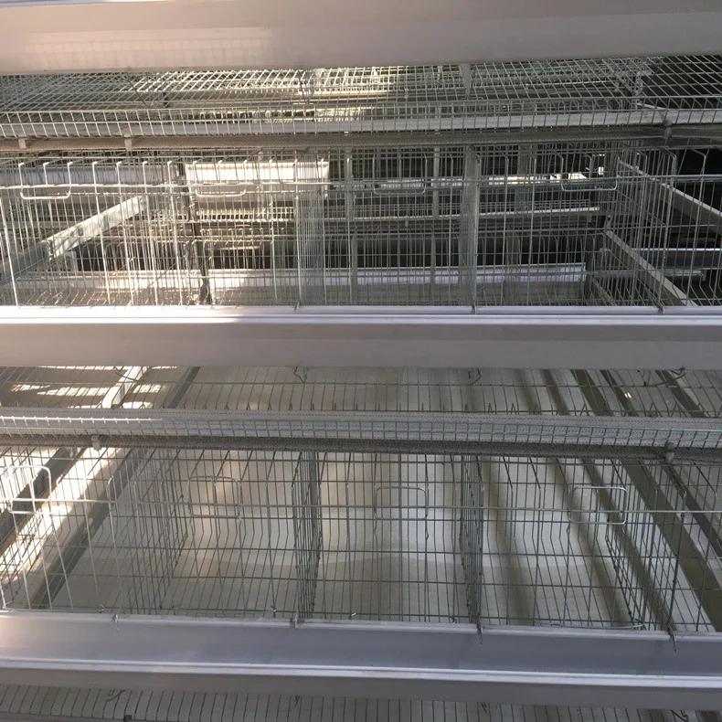 Automatic poultry feeders for egg layer chicken coop