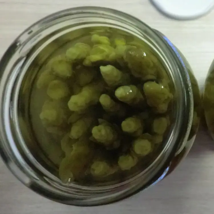 Goog price high quality fresh green asparagus in 370ml