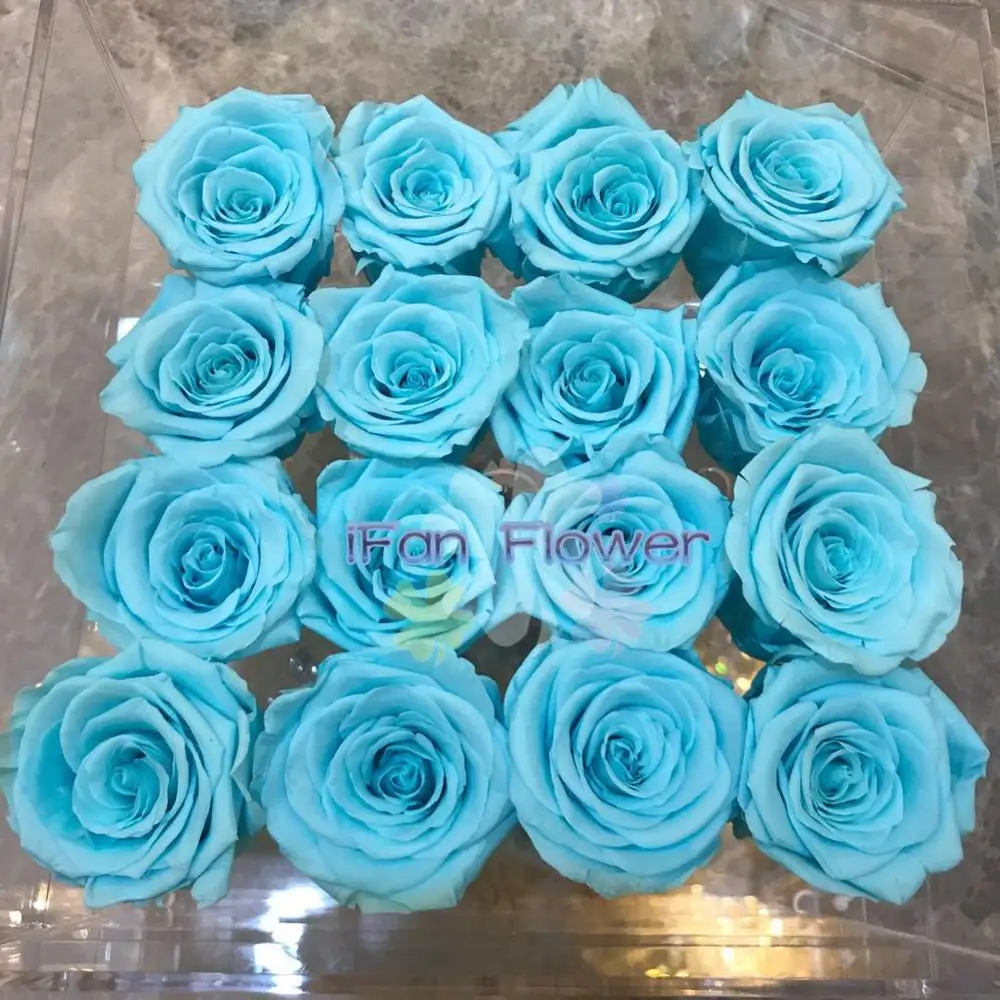 luxury preserved rose bud flower in tiffany blue color decoration china roses actylic boxes for wedding gift events