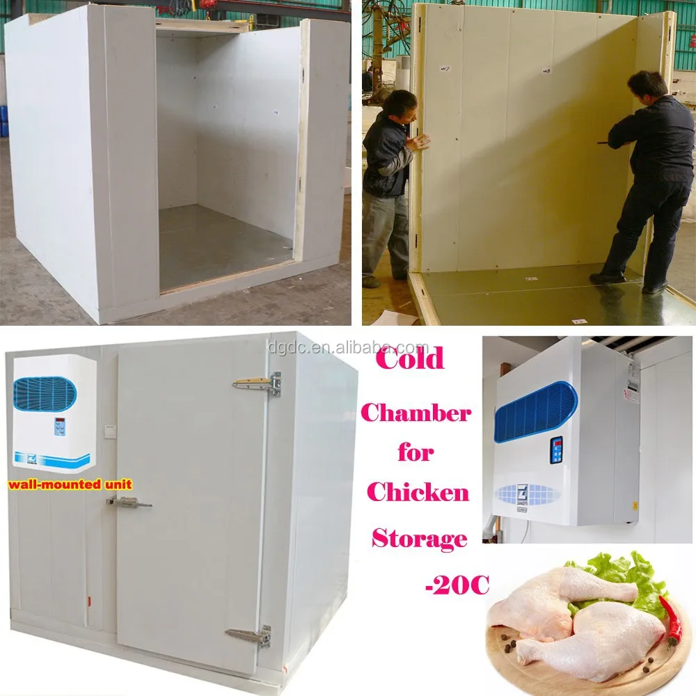 Chicken Cold Chamber With Wall Mounted Unit