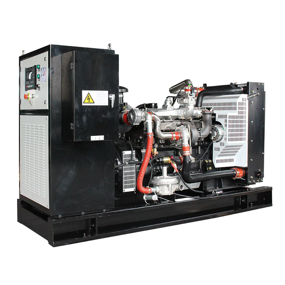 High quality 80kw biogas engine generator price