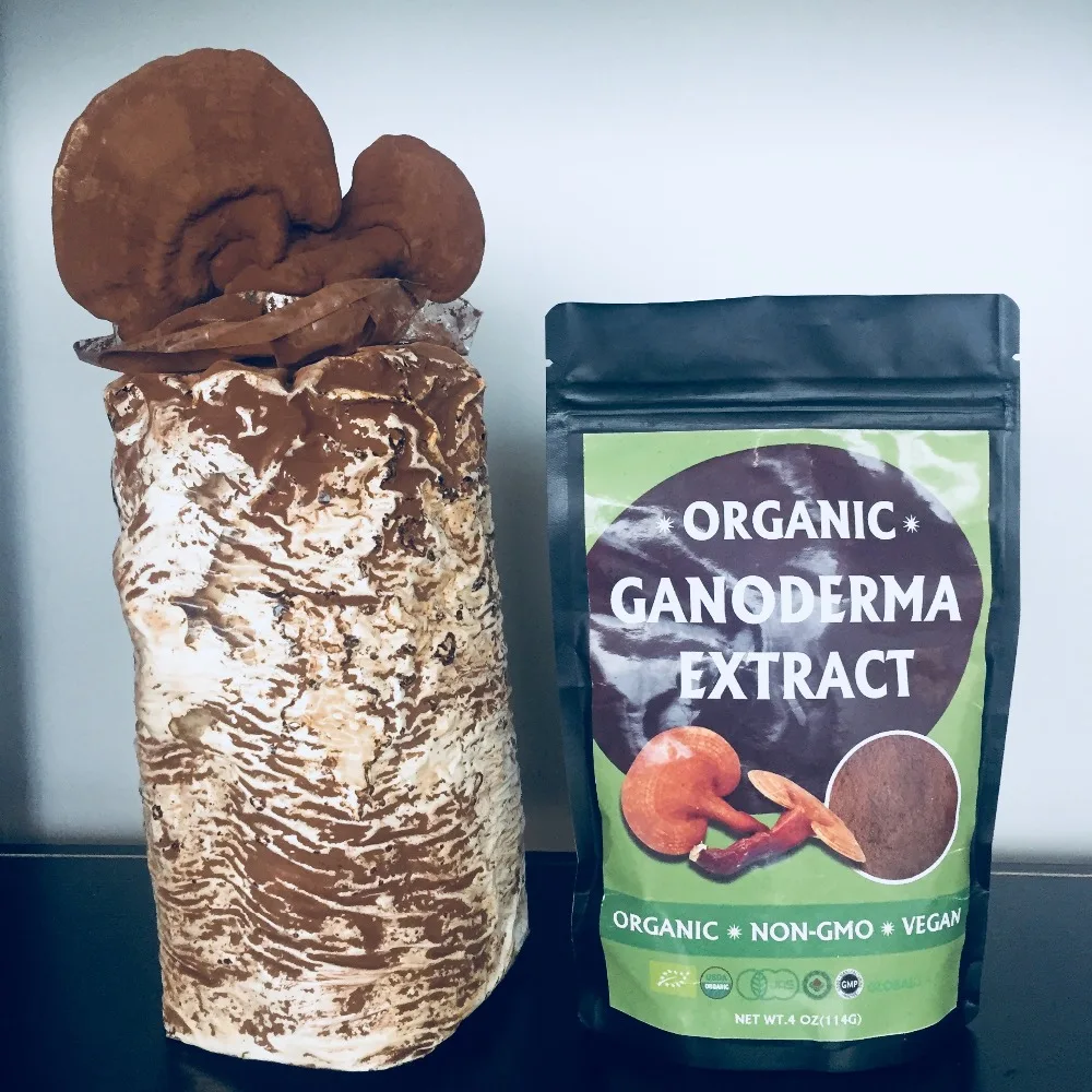 Organic Magic Mushroom Reishi seed Extract Powder Maitake Shiitake Combination Packaging