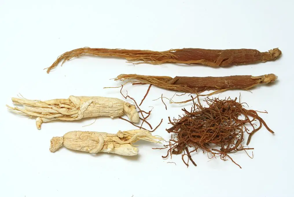 
100%natural Korean RED GINSENG ROOT WITH TAILS/Ginseng root extract 