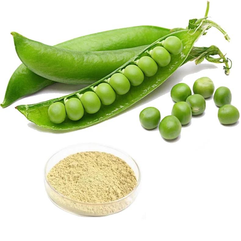 Вегетарианский протеин в пищевых добавок