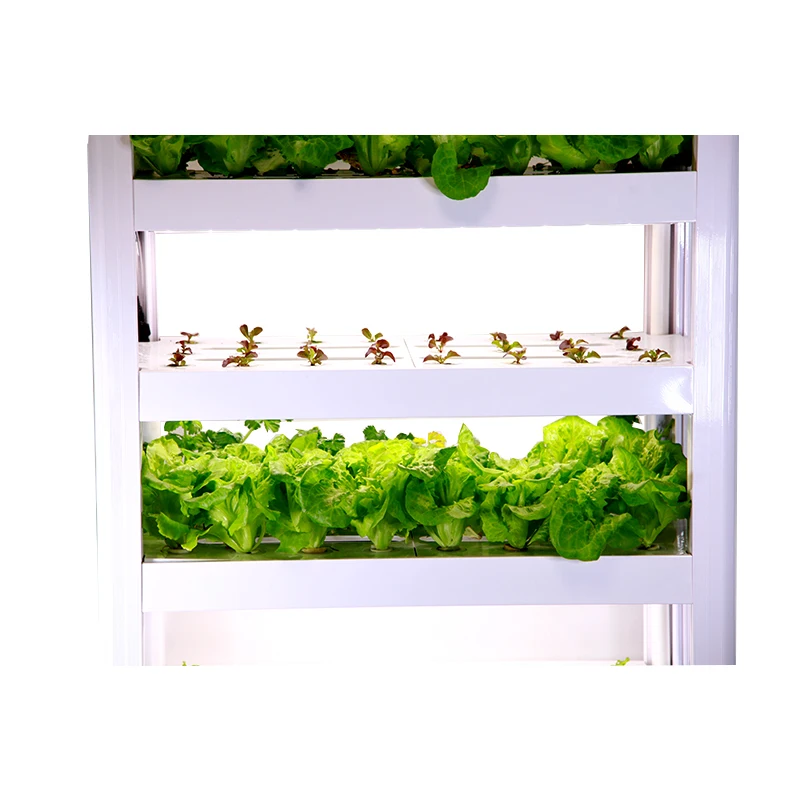 Hi-Tech Bluetooth Control Advanced NFT Growing System Grow Systems with Hydroponic Controller
