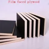 18mm marine plywood/black film faced plywood manufacturer