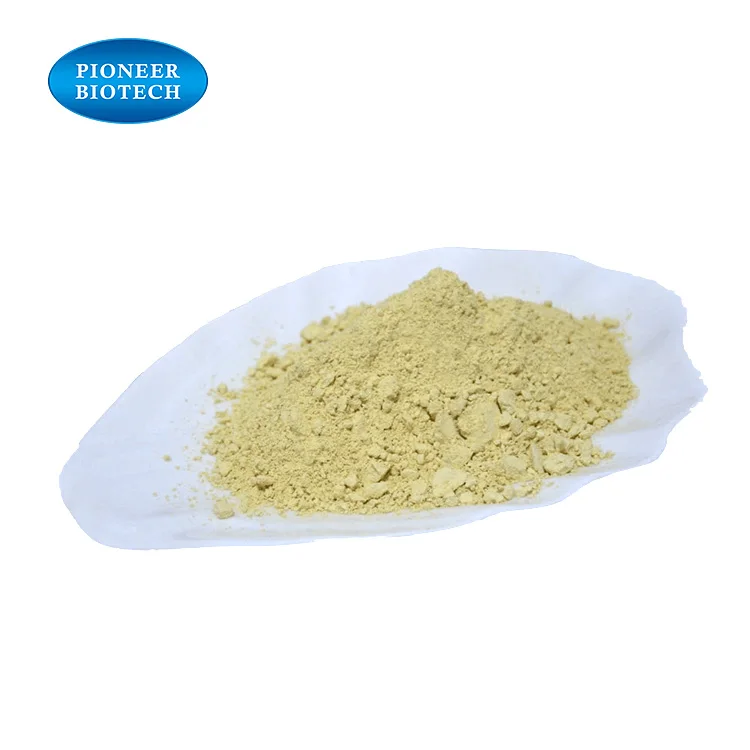 
ISO Certificated Factory Supply Whey Protein 