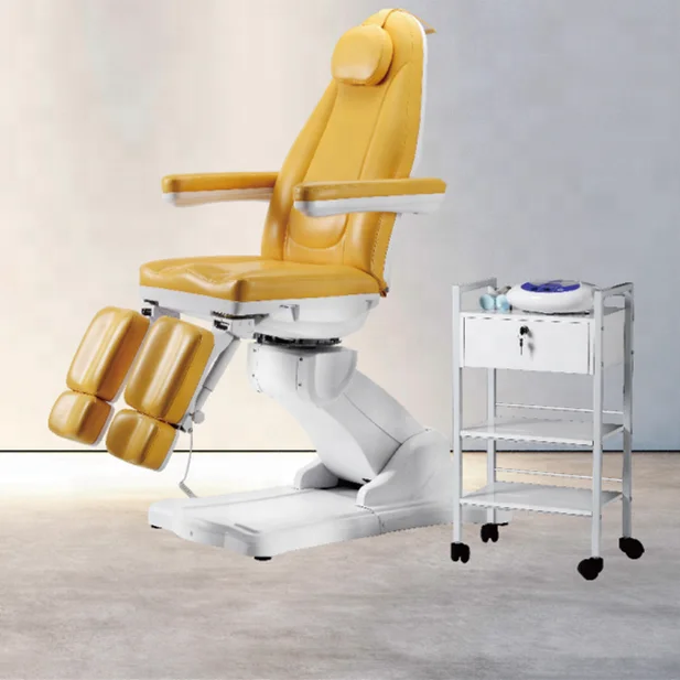 Best selling Electric Facial Massage Beauty Bed Split leg Adjustable Bed / Chair