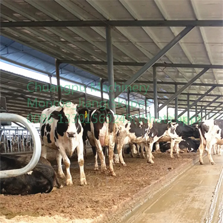 Cow Dung Manure Scraper with German Siemens Control System for Pig,Chicken,Cow,Goat Farm