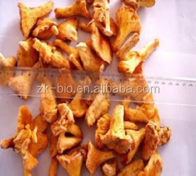 
Health supplement Organic Chanterelle Mushroom Extract Polysaccharides 