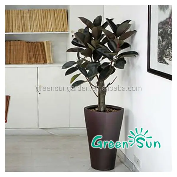 GreenSun self watering planter plastic plant pot