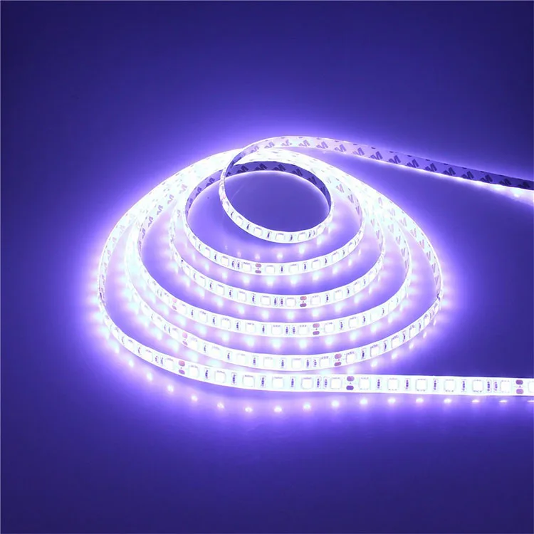 
24v 5050 led belt light waterproof ip65 led flexible strip White Warm White Blue Red 