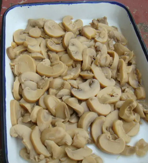 canned fresh button mushroom price