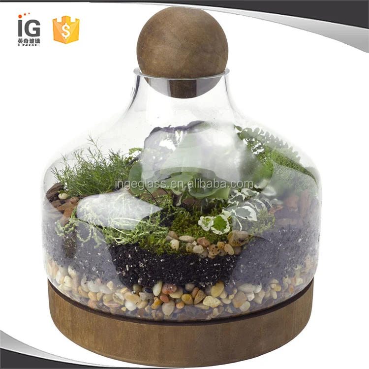 Handmade Glass Terrarium With Wood Base and Ball Lid