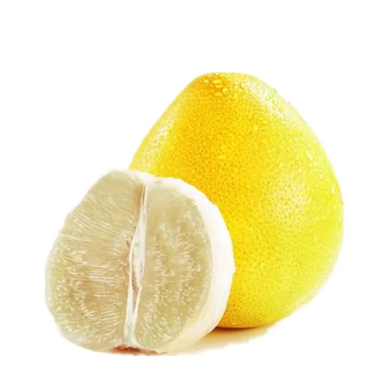 Factory Supply 100% Natural Citrus Maxima Extract 98% Naringin Pomelo Extract