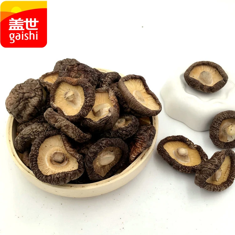 High Quality Edible Fungi Bulk Dry Shiitake Mushroom Magic Mushrooms For Sale