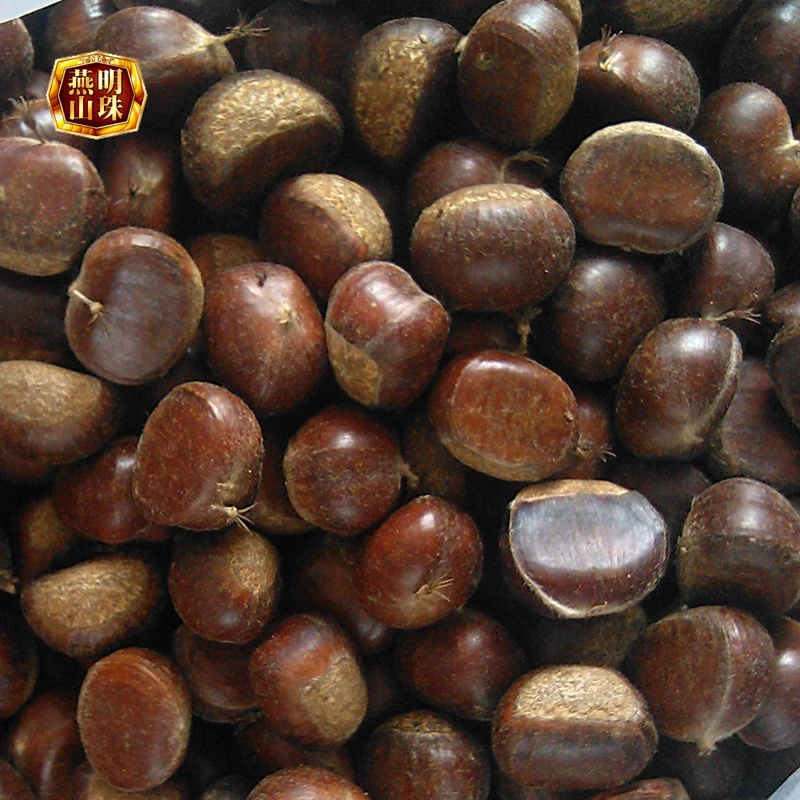2020 Best Organic Chinese Fresh Raw Yanshan Chestnuts for Sale