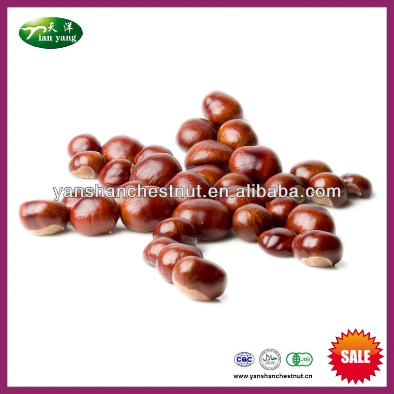 Органический свежий каштан китайский гайки с яркий цвет