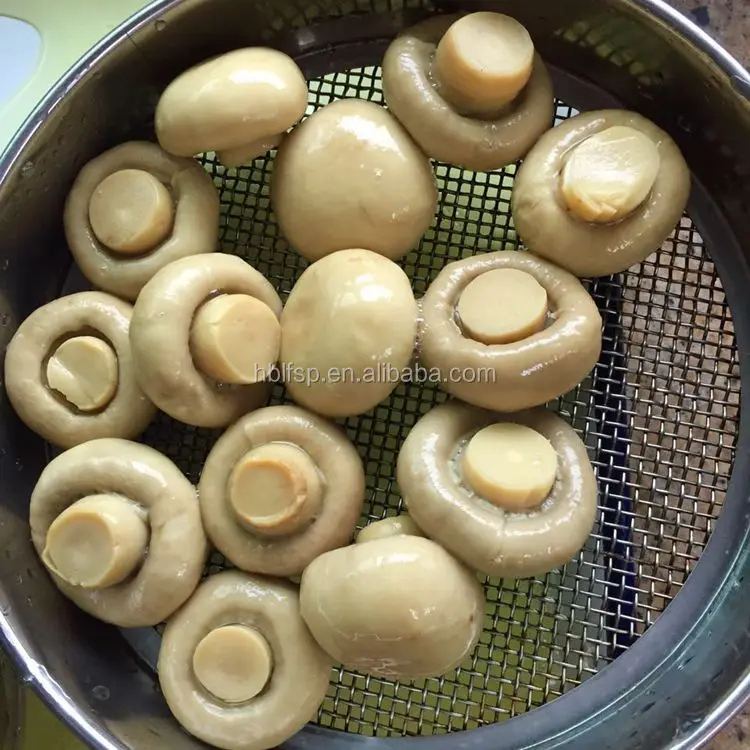 
Whole Canned Champignon Mushroom 800G Pack 