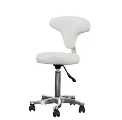 Мастер стул/стул для салона красоты со спинкой