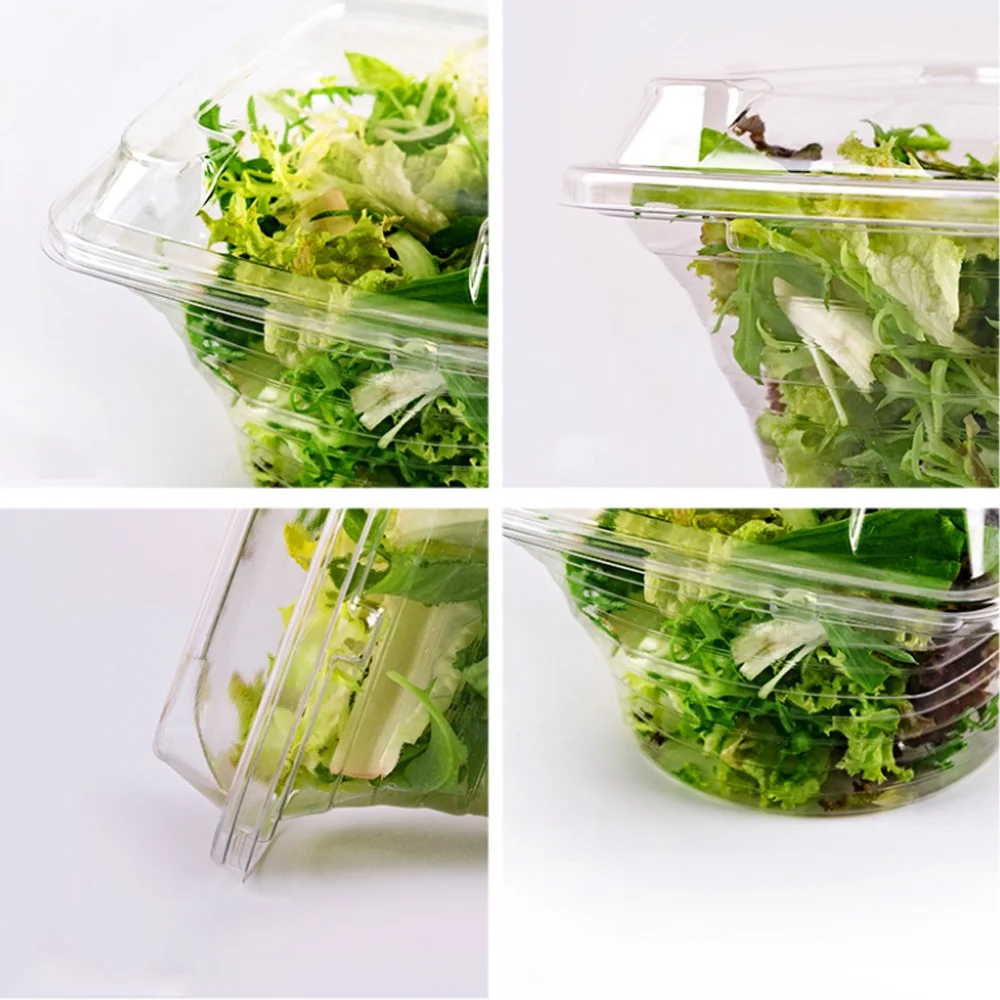 
Plastic lunch fruit biodegradable transparent RPET/PET disposable high quality salad box 