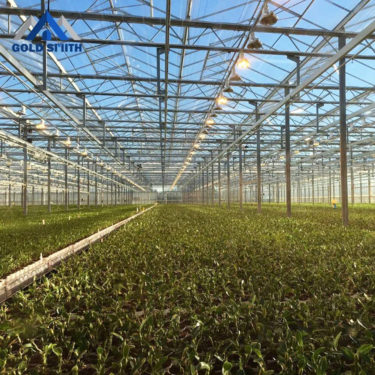 Chinese Farm used Venol Type Glass Greenhouse with Hydroponic System