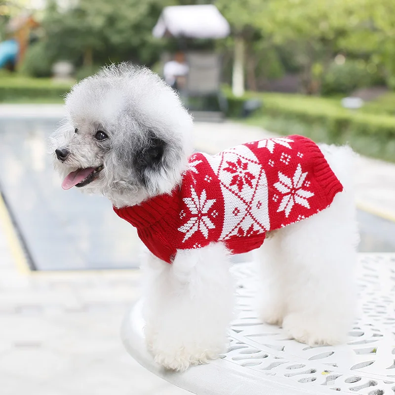 
small dog puppies for sale pet clothes-pet clothing-dog 