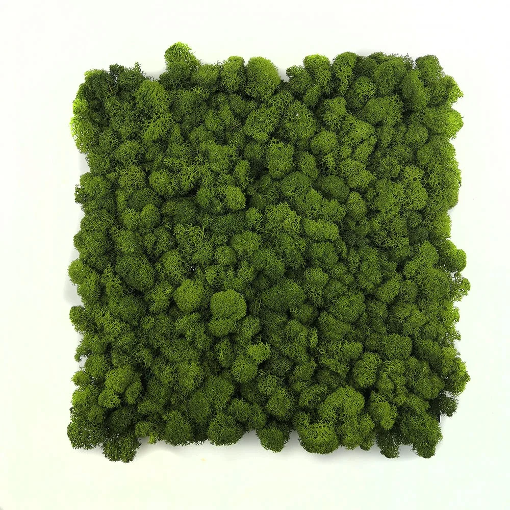Customized Home Decor Decoration Interior Beautiful Stabilized Preserved Reindeer Moss Panel Wall