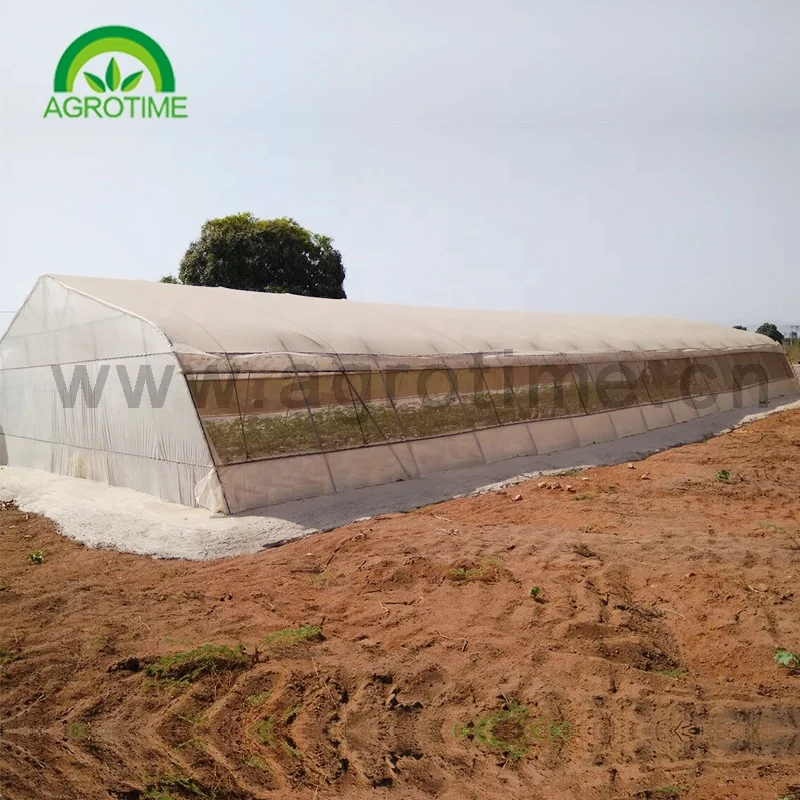 agriculture farming complete greenhouse grow Arch shape high tunnel green house for crops planting