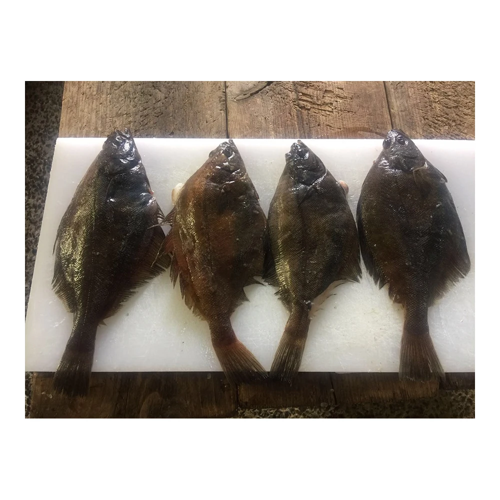 
Asian Good Price Seafood High Quality Frozen Fish Wholesale For Japanese Seafoods 