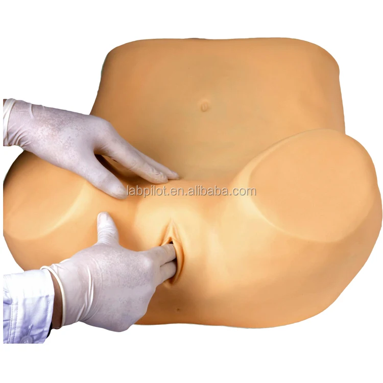 Multi-functional Gynecologist Nursing Training Manikin Vaginal Examination Model