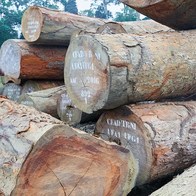 Ekki/Azobe/solideood/veneers/squarelogs/hardwood/timber