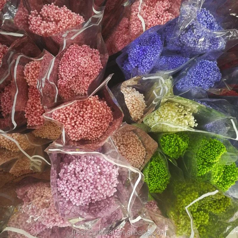 2017 new arrival preserved Millet flower long lasting dried rice flower bouquet at wholesale price