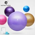 HATHA 65cm Professional swiss yoga ball balancing bola de pilates fitness gym home excise with pump