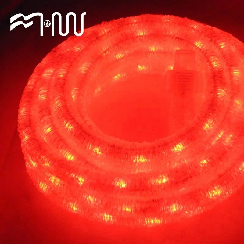 
Outdoor Festival Decoration rgb led light strip waterproof rope lights for decoration 